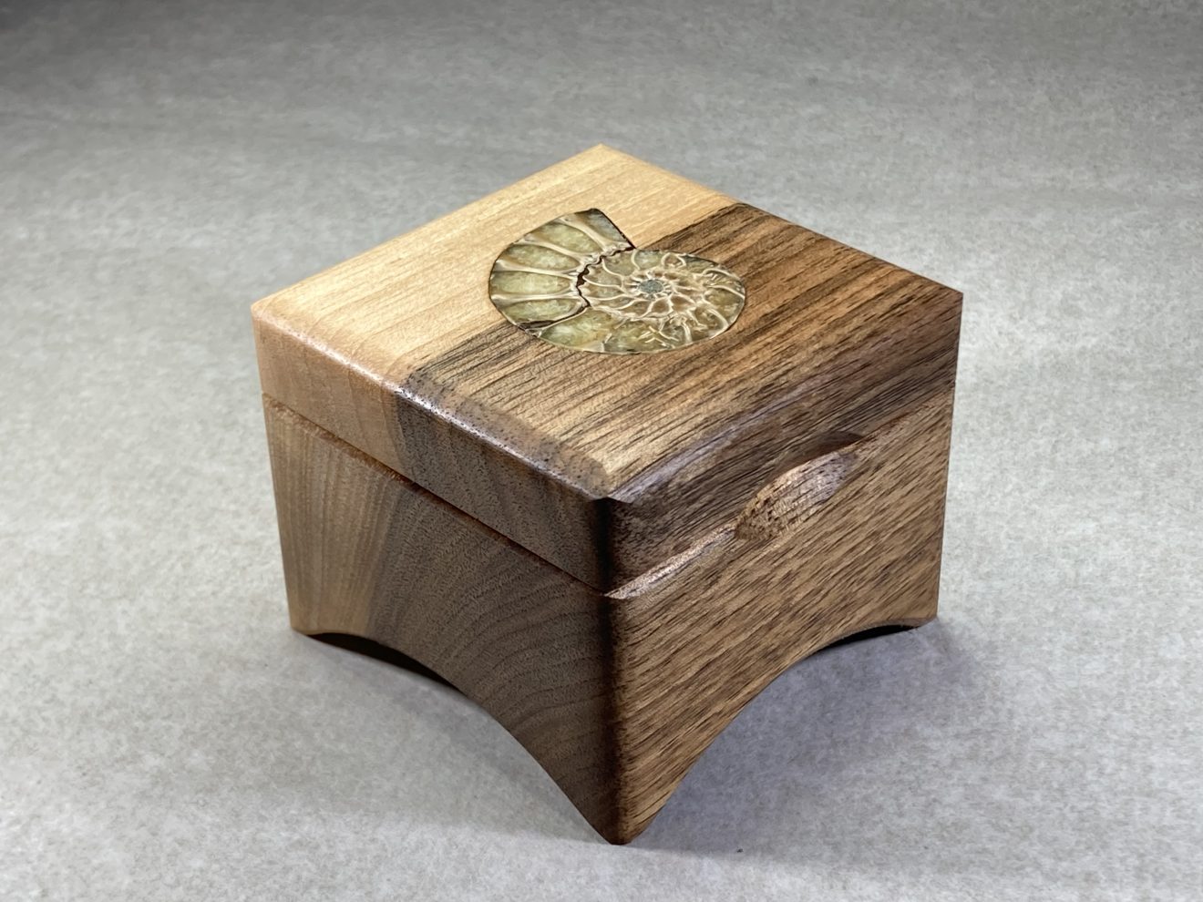 Music box Robin Opwind with Ammonite. Walnut from Zeeland (Wemeldinge)